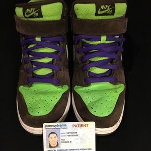 Nike sb Donatello colorway